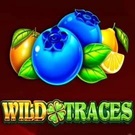 Wild Traces online game logo by Amusnet Interactive on roulettinocasinoo.com